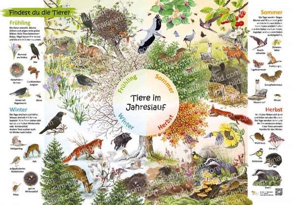 Tiere im Jahreslauf