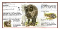 Wildschwein