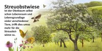 Streuobstwiese