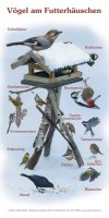 Vögel am Futterhäuschen