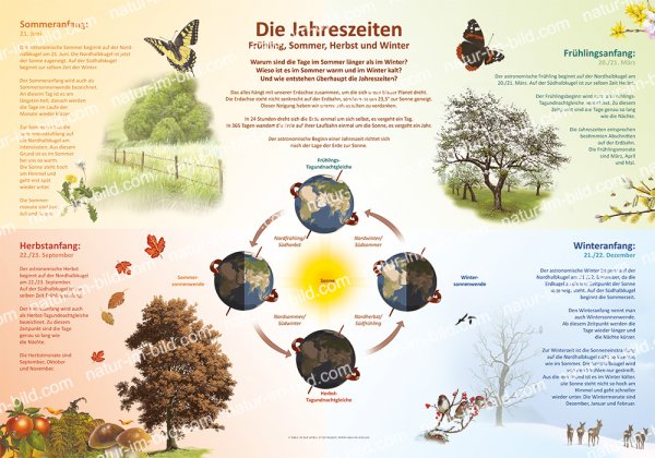 Die Jahreszeiten - Frühling, Sommer, Herbst und Winter