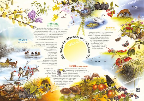 Die Natur im Wechsel der Jahreszeiten