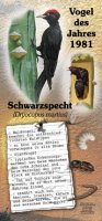 Schwarzspecht - Vogel des Jahres 1981