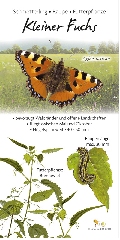 kleiner Fuchs | Natur im Bild Lehrtafeln für Natur-, Lehr- oder Lernpfade
