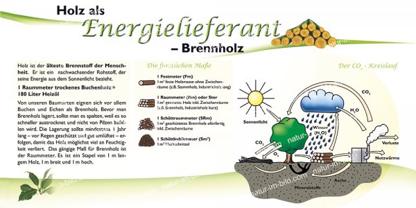Holz als Energielieferant