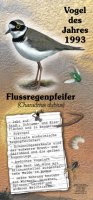 Flussregenpfeifer - Vogel des Jahres 1993