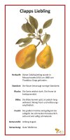 Clapps Liebling