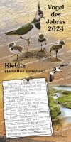 Kiebitz - Vogel des Jahres 2024