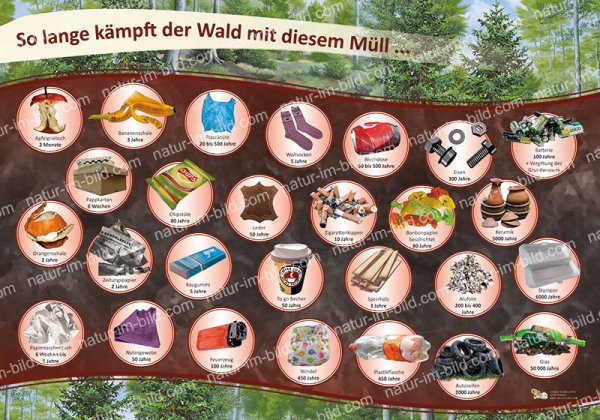 So lange kämpft der Wald mit diesem Müll...