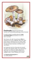 Pantherpilz