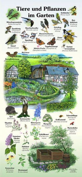 Tiere und Pflanzen im Garten