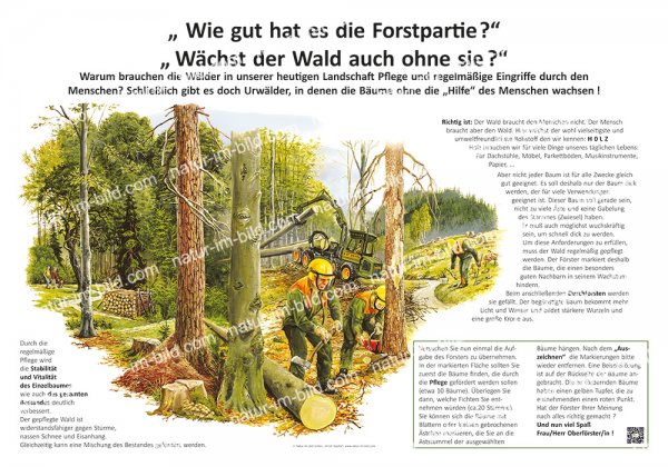 Wie gut hat es die Forstpartie, wächst der Wald auch ohne sie?