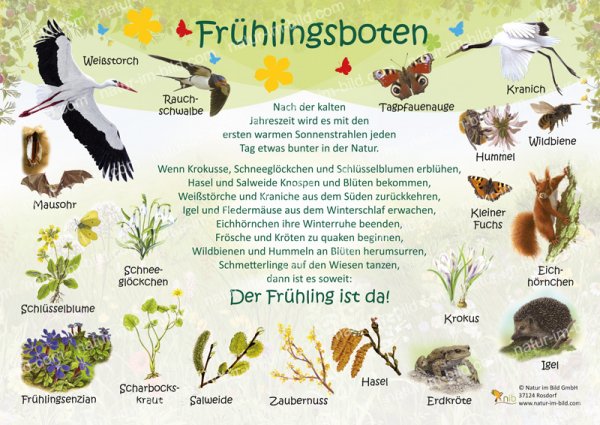 Frühlingsboten