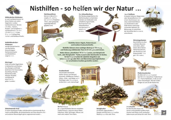 Nisthilfen - So helfen wir der Natur